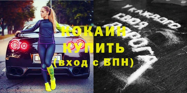 винт Алзамай