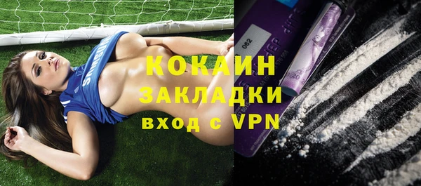 винт Алзамай