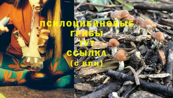 тгк Алексеевка