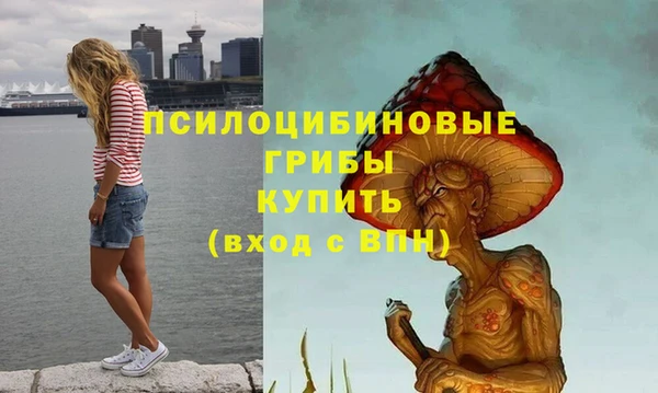 не бодяженный Аркадак