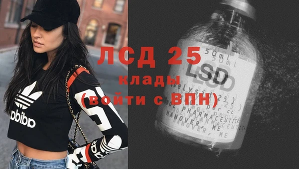 стафф Алексин
