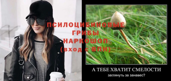 тгк Алексеевка