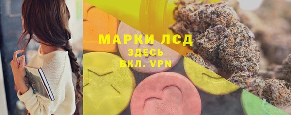 стафф Алексин