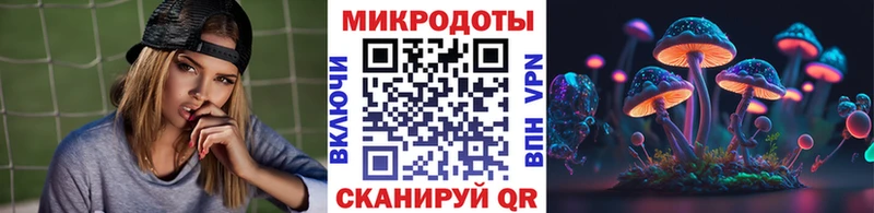 mega tor  Лесной  Галлюциногенные грибы мицелий 