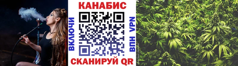 как найти закладки  мега   Конопля SATIVA & INDICA  Лесной 